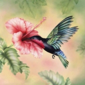 beatrice abernathy