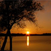 Obituary-img