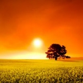 Obituary-img