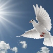 Obituary-img