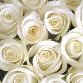 Obituary-img