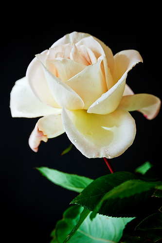 Obituary-img